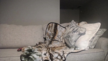 Kylechat  05-08-2021 video tail